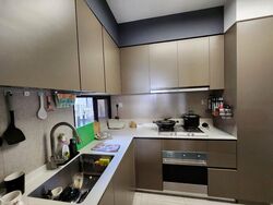 Grandeur Park Residences (D16), Condominium #558519681